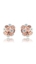 Show details for Best-Selling Classic Rose Gold Plated Stud 