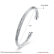 Picture of Discount Platinum Plated Platinum Plated Bangles