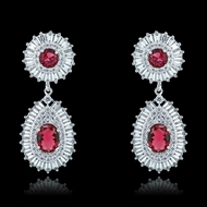 Picture of Luxury Cubic Zirconia Dangle Earrings 1JJ054507E