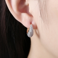 Picture of Sparkling Casual Luxury Small Hoop Earrings