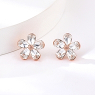 Picture of Pretty Artificial Crystal Classic Stud Earrings