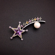 Show details for Fancy Medium Platinum Plated Brooche Show details for Fancy Medium Platinum Plated Brooche