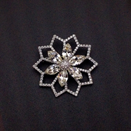 Show details for Irresistible White Platinum Plated Brooche from Editor Picks Show details for Irresistible White Platinum Plated Brooche from Editor Picks