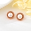 Show details for Classic Rose Gold Plated Stud Earrings at Unbeatable Price